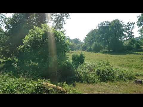 Nature southern sweden [4K]