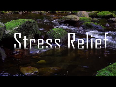 Relaxing music for stress relief - calm relaxing music for stress relief