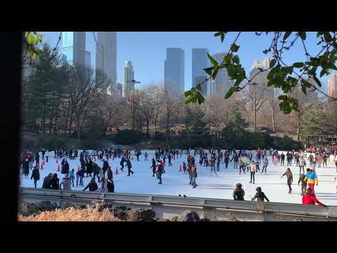 Central Park Skating
