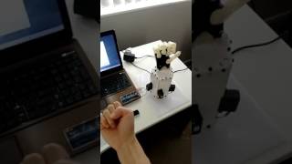 Robotic hand controlled by hand gestures via Leap Motion