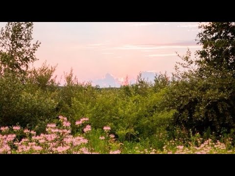 New spring intro🌷🌺🌼🍉🍋
