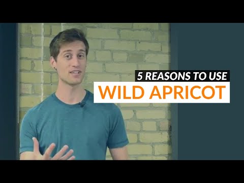 5 Reasons Wild Apricot is the #1 Nonprofit Software