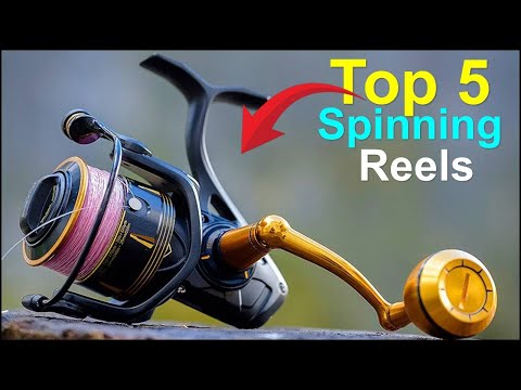 Best Spinning Reels Top 3 2025