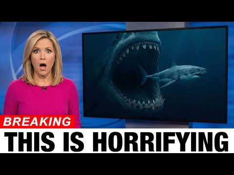 JUST NOW: Marine Biologists Solved the Mystery of the Vanished Great White — The Truth Is Terrifying
