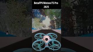 BetaFPV Meteor 75 Pro 2025 (Analog still good)