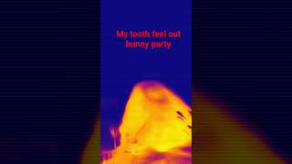 my last baby tooth fall out comment if one time you got your tooth out 😄