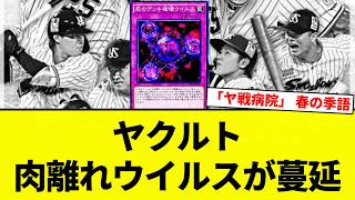 [Deadly Muscle-Tearing Virus] Yakult Muscle-Tearing Virus Spreads [Pro Baseball Reactions] [2ch T...