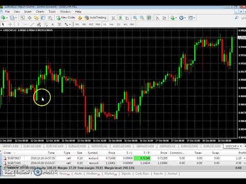 Intro to MT-4.mp4 [tfx_guru]