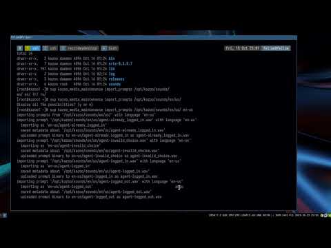 Kazoo install with Linux Containers, Part 19