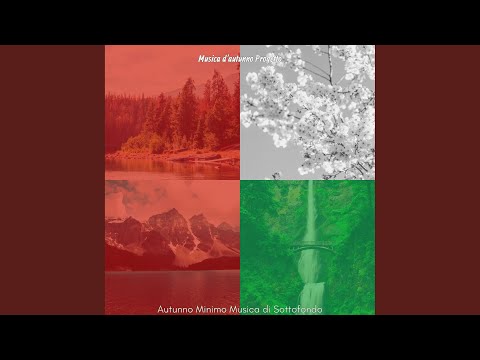 Minimo - Musica di Sottofondo