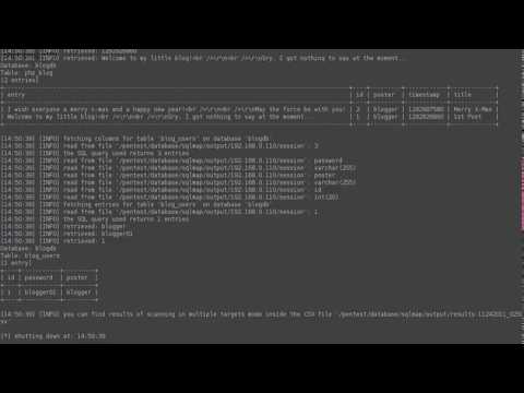VulnImage   Automated