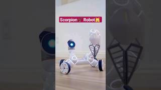 Amazing Scorpion Robot 🦂