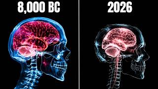 Why Are Our Brains Shrinking?