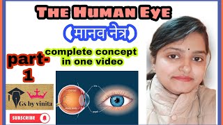 Human eye complete in one video #scienceseries #gsbyvinitamam