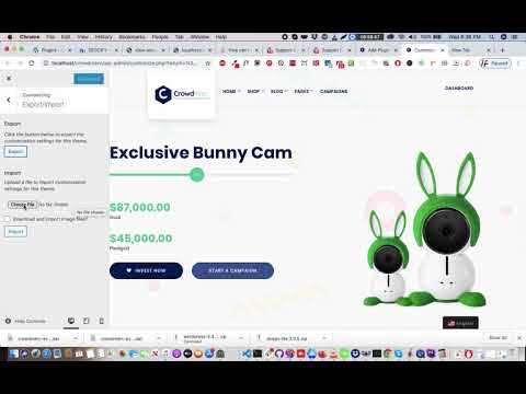 Customizer Export:Import