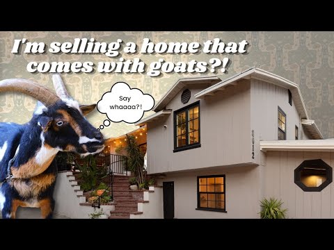 Selling a home in LA with 3 goats, 2 pigs, and 6 chickens!