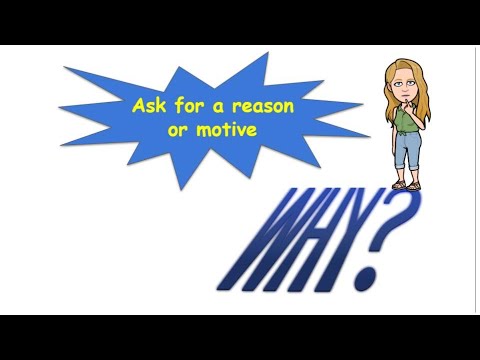 Why Questions, Past Simple, TO
