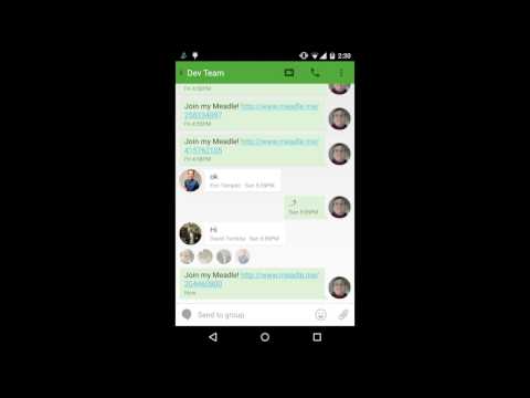 Meadle Final Demo