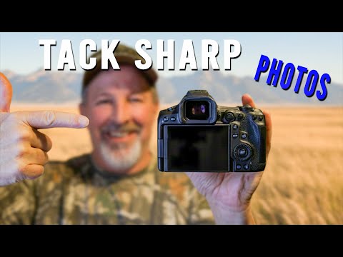 How to Get Tack Sharp Photos Pro Tips for Photographers Canon R5 Mark II