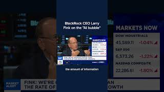 BlackRock CEO Larry Fink on the 'AI bubble'