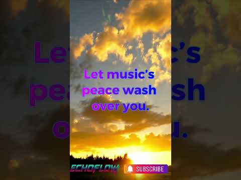 Deep Relax Sleep Study Ambient Synthwave • No Ads • 24/7 Stream | Serene Horizon — Echoflowww