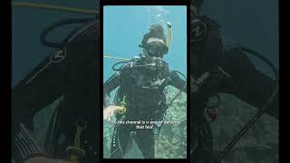 Why I Create (Even If No One’s Watching) #WhyICreate #StartingYouTube #youtubejourney