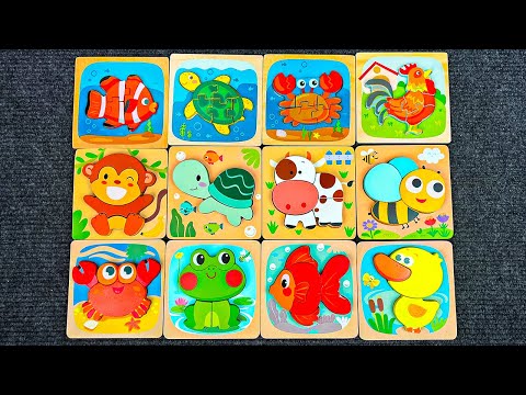 Learn Animal Names & Shapes with Matching Activity Puzzle | Preschool Toddler Toy Learning Video