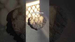 Diy Wall Decor idea 🤍 || aesthetic wall decor #shorts #diy #art #decor #aesthetic