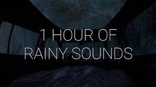 1 Hour of Sleeping in a Car During Rainstorm with Let Go - Ark Patrol | Rain & Music for Sleep