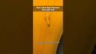 Here's the science made visible. #tire #tyre #automobile #tireguy#tireshop