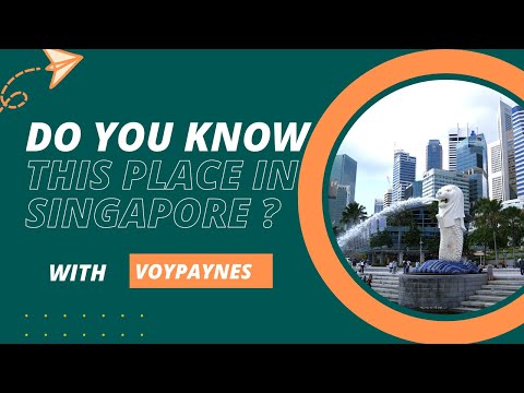 Taking a Tour of Holland Village, #singapore #2023 in less than 2 mins #travel #sg @TheVoyPaynes