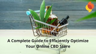 A Complete Guide to Efficiently Optimize Your Online CBD Store - MyINFOExpert