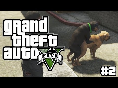 GTA V Fucking Dog GTX660 i3-3220,8GB RAM