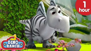 A Striped Spinosaurus!? | Dino Ranch