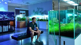 THE BEST AQUARIUM GALLERY IN THE WORLD? Full Tour Of ADG In Houston Texas
