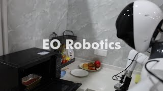 EO-1: An Open Unified Embodied Foundation Model for General Robot Control