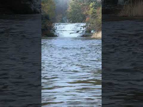 Autumn Serenity: The Majestic Upper Falls of Wiscoy 🌊🍂 Wiscoy, NY