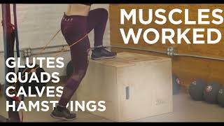 Spartan by Power Systems - Plyo Boxes