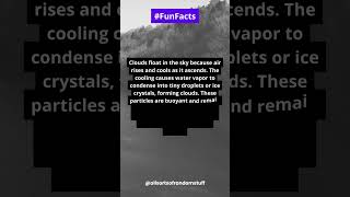 Why do clouds float in the sky? #funfacts