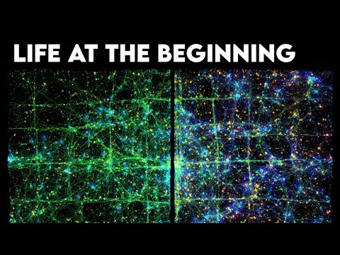 The Pattern That Built Both Galaxies and Life