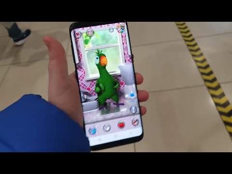 pierre goes to the shop