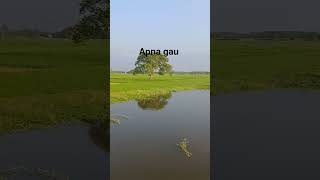 dekho kya#viral#nature #nature #hindisong #trending #travel #explorenow#shortfeed