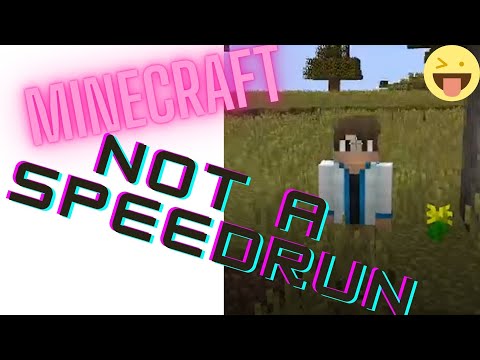 NOT A SPEEDRUN | MINECRAFT |
