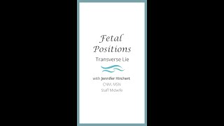 Fetal Positions: Transverse Lie