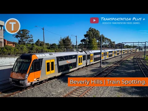 Beverly Hills | Train Spotting.