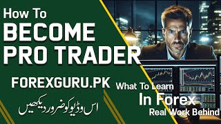 How To Become A Professional Forex Trader Q&A - ForexGuru.Pk
