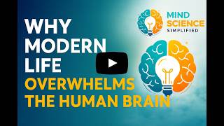 Why Modern Life Overwhelms the Human Brain | Neuroscience Explained