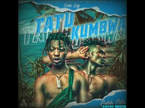 finally Celeb City has another hit song titled TATU KUMBWA