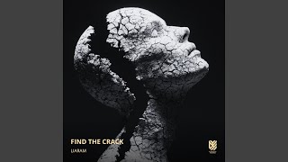 Find the crack