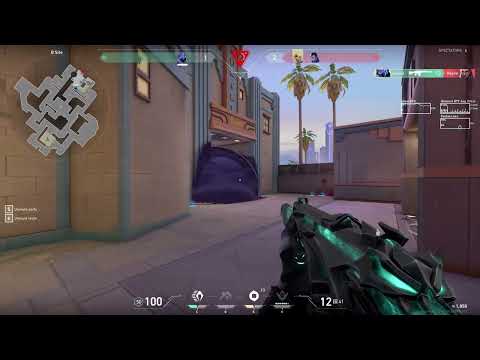 Mute hotkey is compulsory for Valorant Ranked!